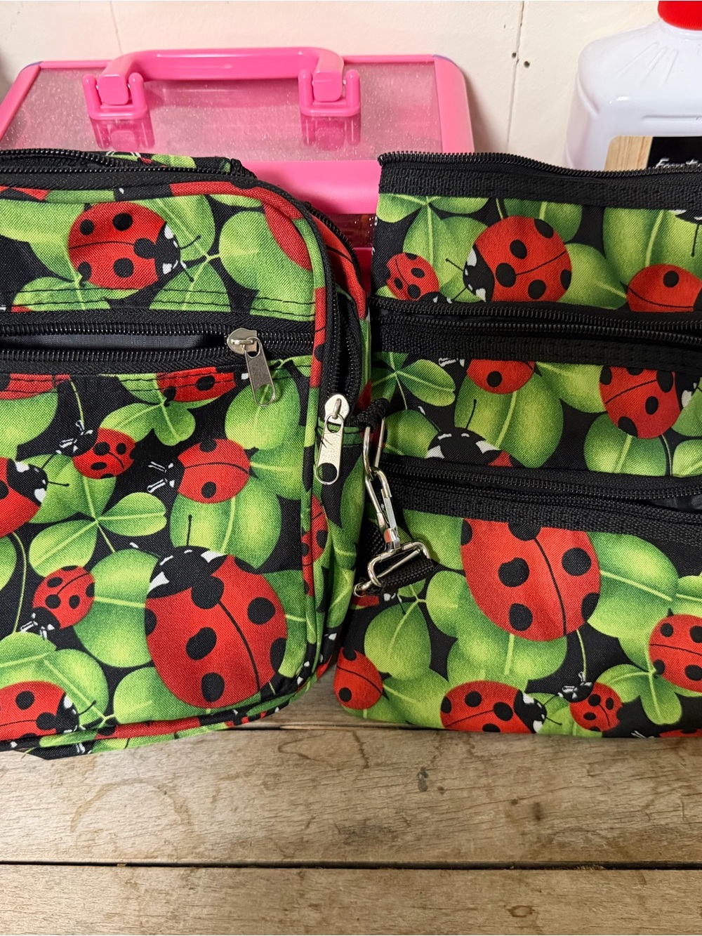 Ladybug Print Crossbody Bag - Red & Green